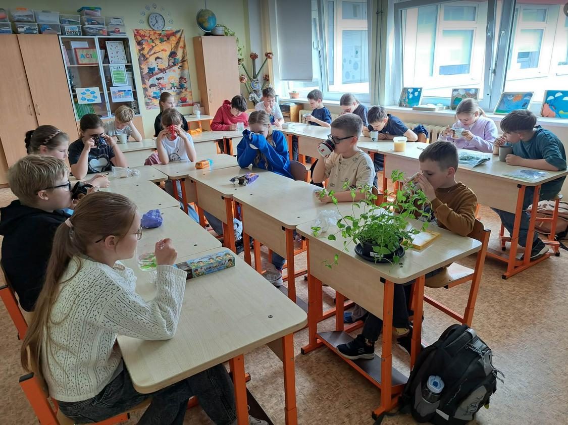 Arbatų degustacija